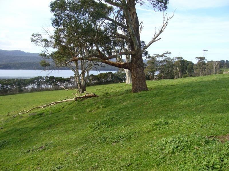 37 Blackwood Hills Road, Rowella TAS 7270