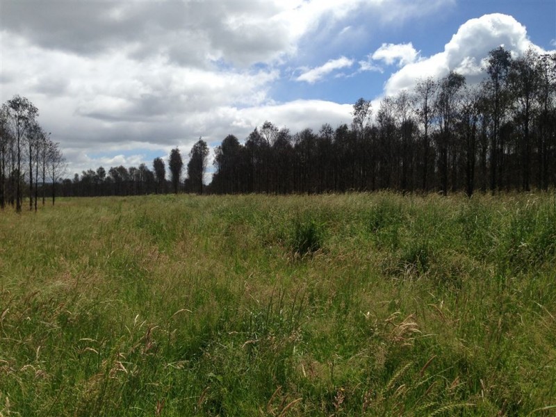 862 Cheshunt Road, Western Creek TAS 7304