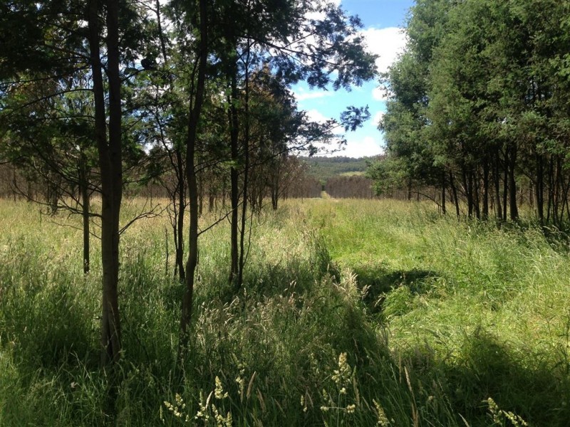 862 Cheshunt Road, Western Creek TAS 7304