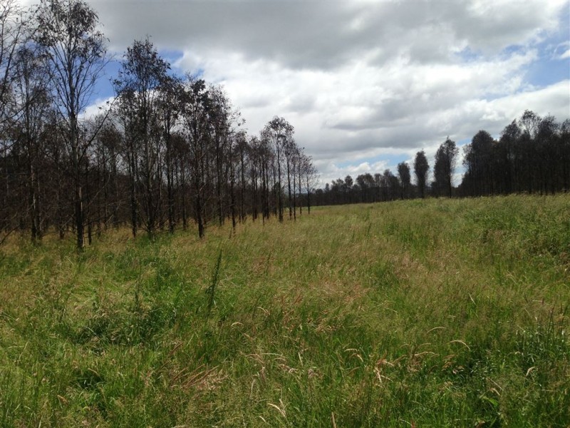 862 Cheshunt Road, Western Creek TAS 7304