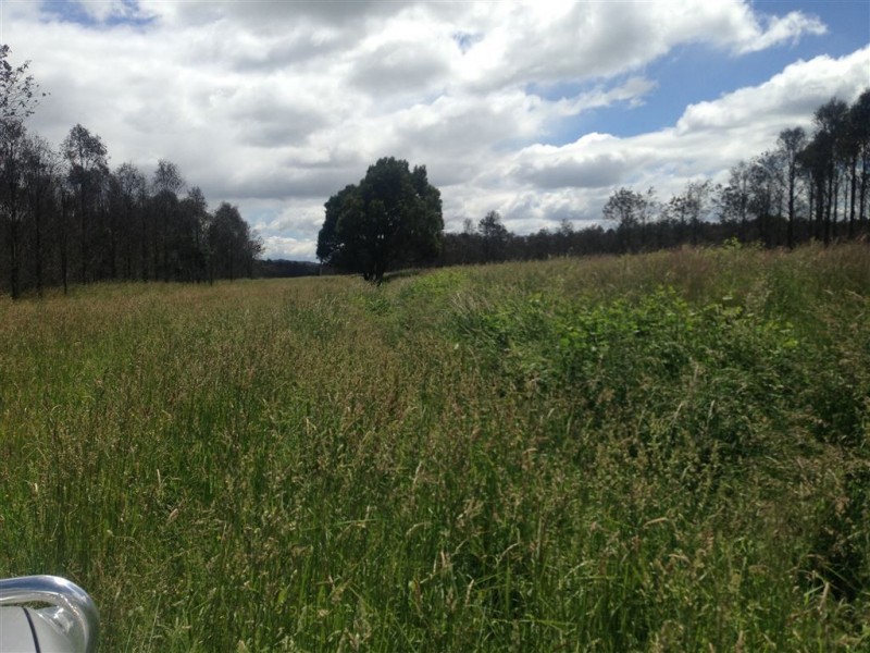 862 Cheshunt Road, Western Creek TAS 7304