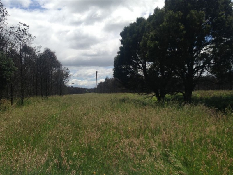 862 Cheshunt Road, Western Creek TAS 7304