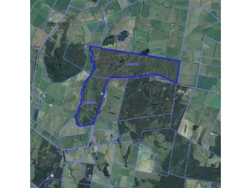 862 Cheshunt Road, Western Creek TAS 7304