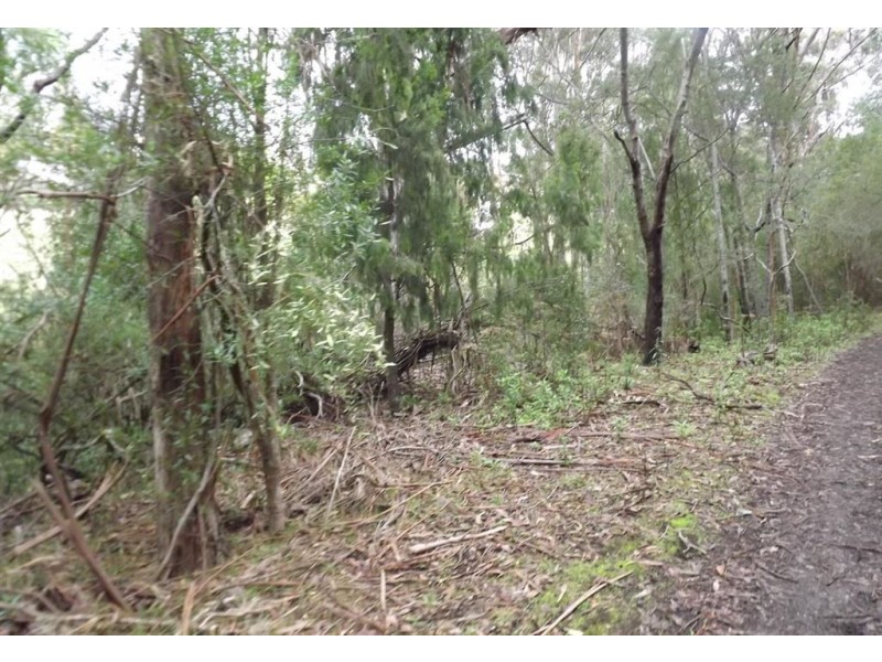 . Yearsley Road, Broadmarsh TAS 7030