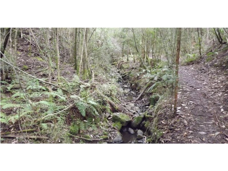 . Yearsley Road, Broadmarsh TAS 7030