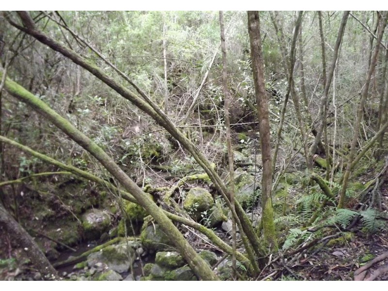 . Yearsley Road, Broadmarsh TAS 7030