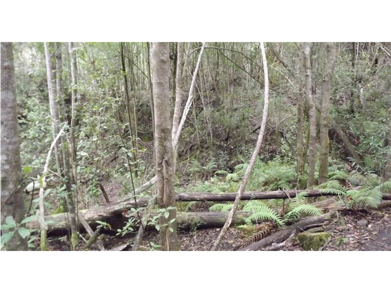 . Yearsley Road, Broadmarsh TAS 7030