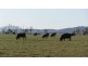 211 Logan Road, Evandale TAS 7212
