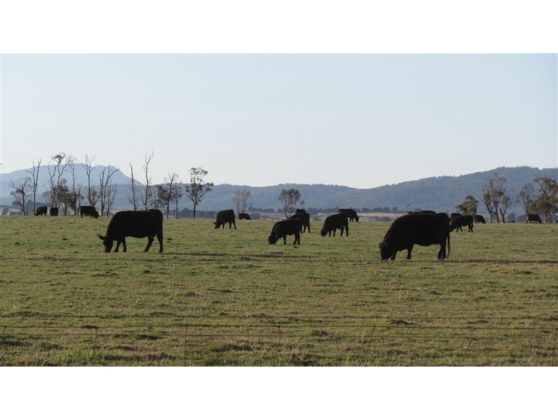 211 Logan Road, Evandale TAS 7212