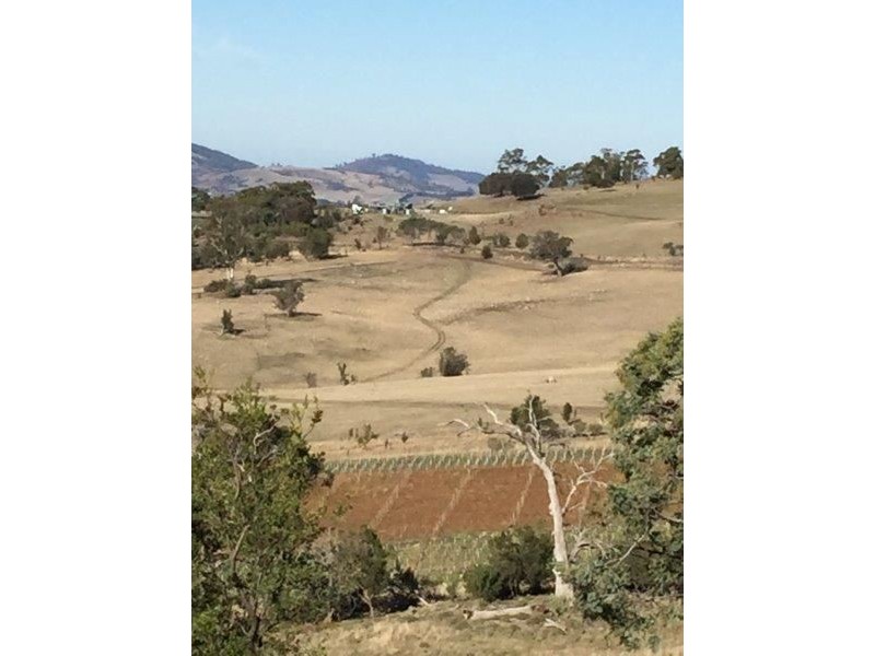 1481 Colebrook Road, Campania TAS 7026