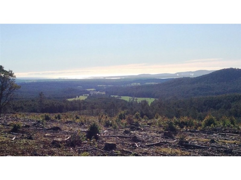 912 Holwell Road, Holwell TAS 7275