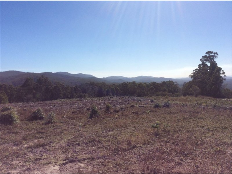 912 Holwell Road, Holwell TAS 7275