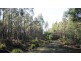 47.6ha Hodgetts Road, Rosevale TAS 7292