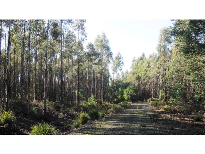 47.6ha Hodgetts Road, Rosevale TAS 7292