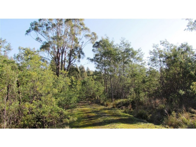 47.6ha Hodgetts Road, Rosevale TAS 7292