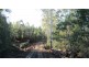 47.6ha Hodgetts Road, Rosevale TAS 7292