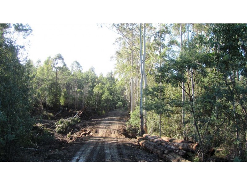 47.6ha Hodgetts Road, Rosevale TAS 7292