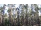 47.6ha Hodgetts Road, Rosevale TAS 7292