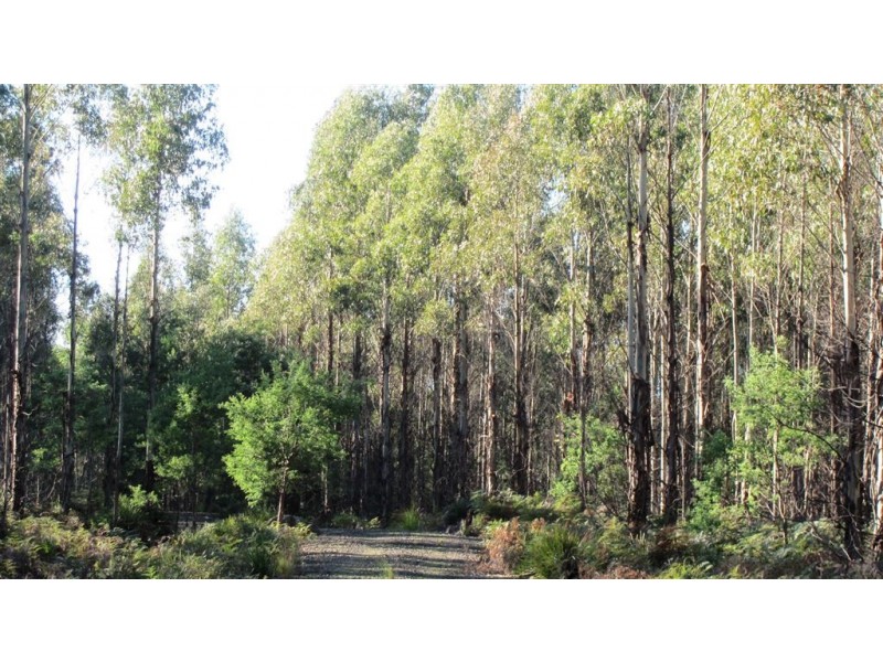 47.6ha Hodgetts Road, Rosevale TAS 7292