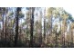 47.6ha Hodgetts Road, Rosevale TAS 7292