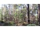 47.6ha Hodgetts Road, Rosevale TAS 7292