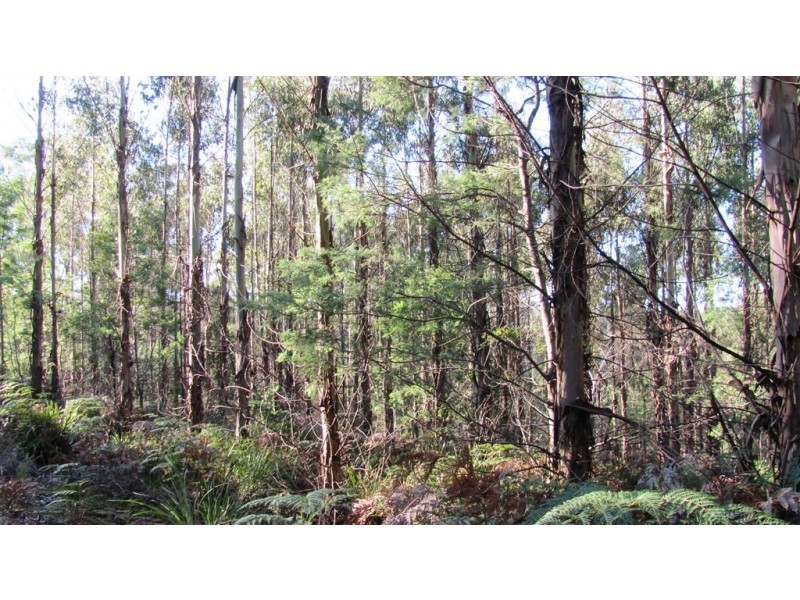 47.6ha Hodgetts Road, Rosevale TAS 7292