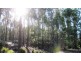 47.6ha Hodgetts Road, Rosevale TAS 7292