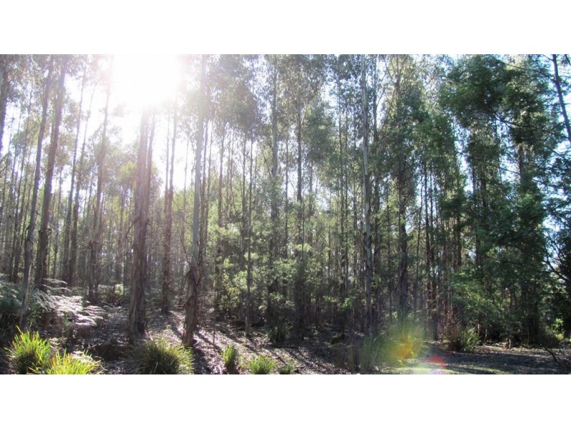47.6ha Hodgetts Road, Rosevale TAS 7292
