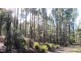 47.6ha Hodgetts Road, Rosevale TAS 7292