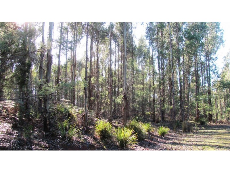 47.6ha Hodgetts Road, Rosevale TAS 7292