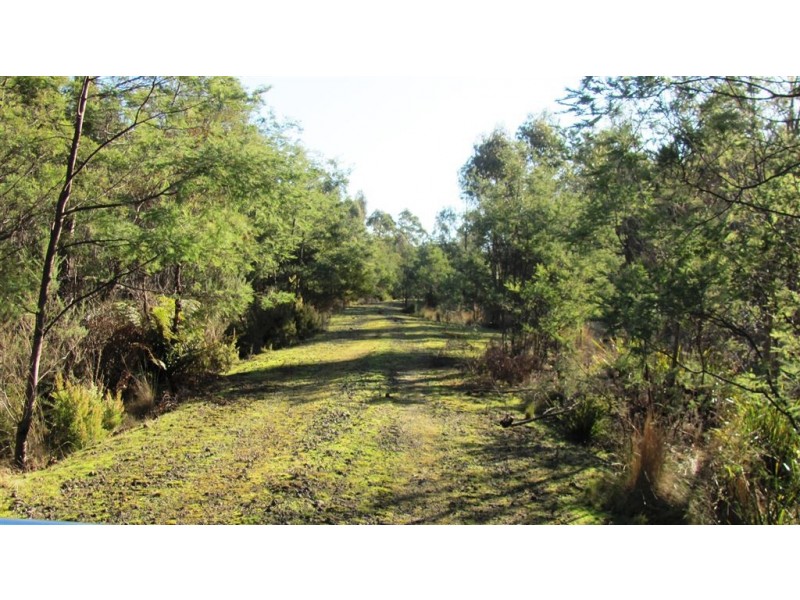 47.6ha Hodgetts Road, Rosevale TAS 7292