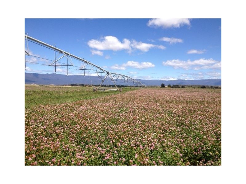 1926 Cressy Road, Cressy TAS 7302