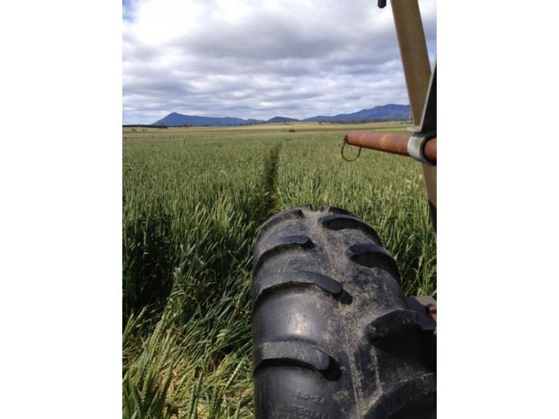 1926 Cressy Road, Cressy TAS 7302