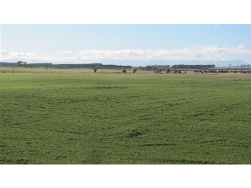 1926 Cressy Road, Cressy TAS 7302