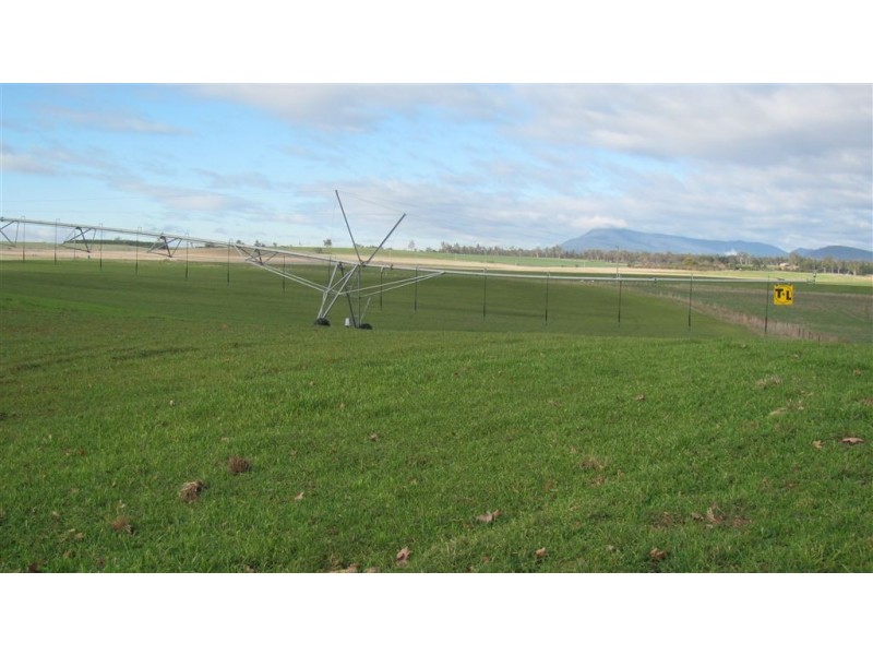 1926 Cressy Road, Cressy TAS 7302