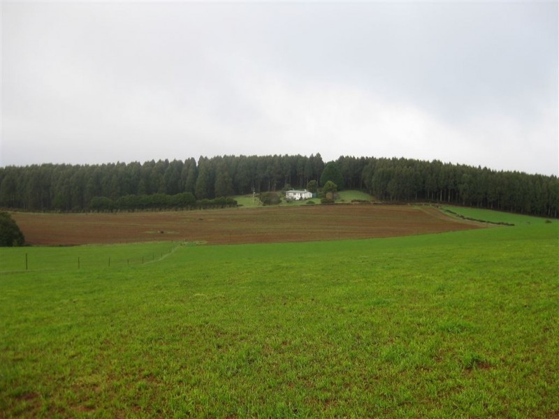 2282 Mawbanna Road, Mawbanna TAS 7321