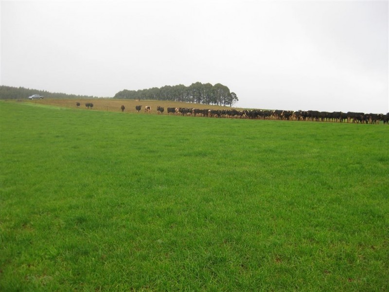 2282 Mawbanna Road, Mawbanna TAS 7321