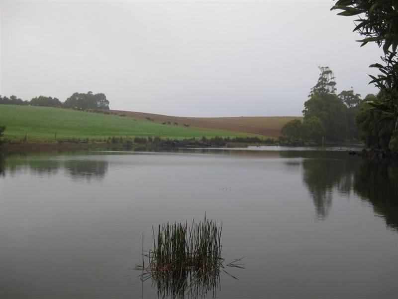 2282 Mawbanna Road, Mawbanna TAS 7321