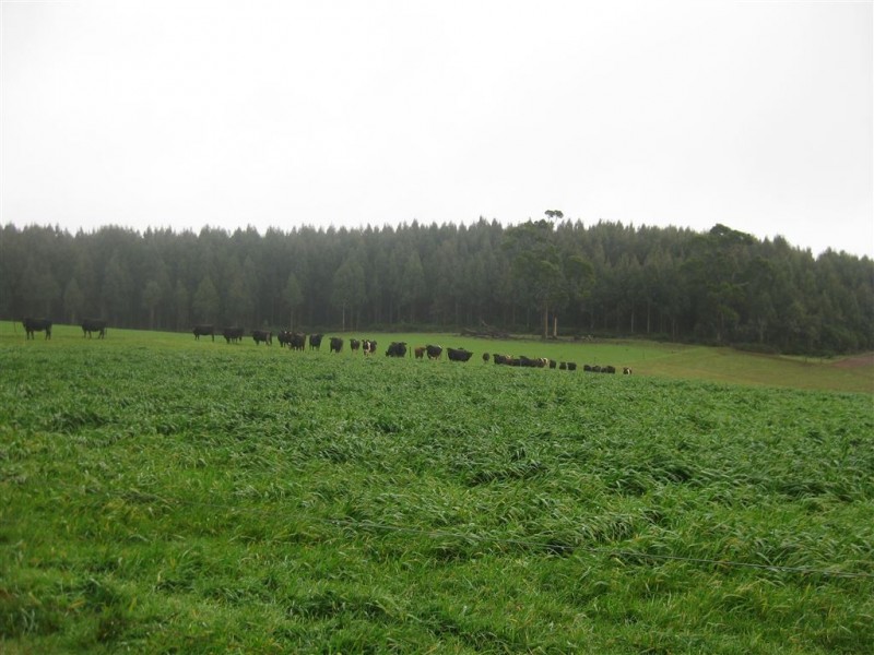 2282 Mawbanna Road, Mawbanna TAS 7321