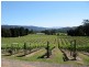 1848 Cygnet Coast Road, Cradoc TAS 7109