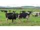 79 Wagners Road, Winnaleah TAS 7265