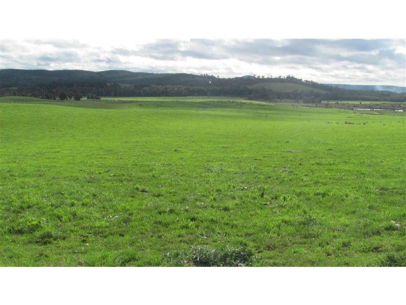 79 Wagners Road, Winnaleah TAS 7265