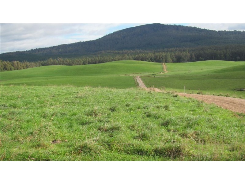 79 Wagners Road, Winnaleah TAS 7265