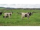 79 Wagners Road, Winnaleah TAS 7265