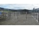 79 Wagners Road, Winnaleah TAS 7265