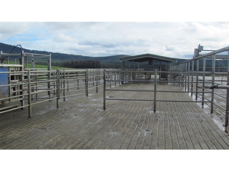 79 Wagners Road, Winnaleah TAS 7265