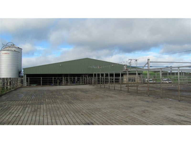79 Wagners Road, Winnaleah TAS 7265