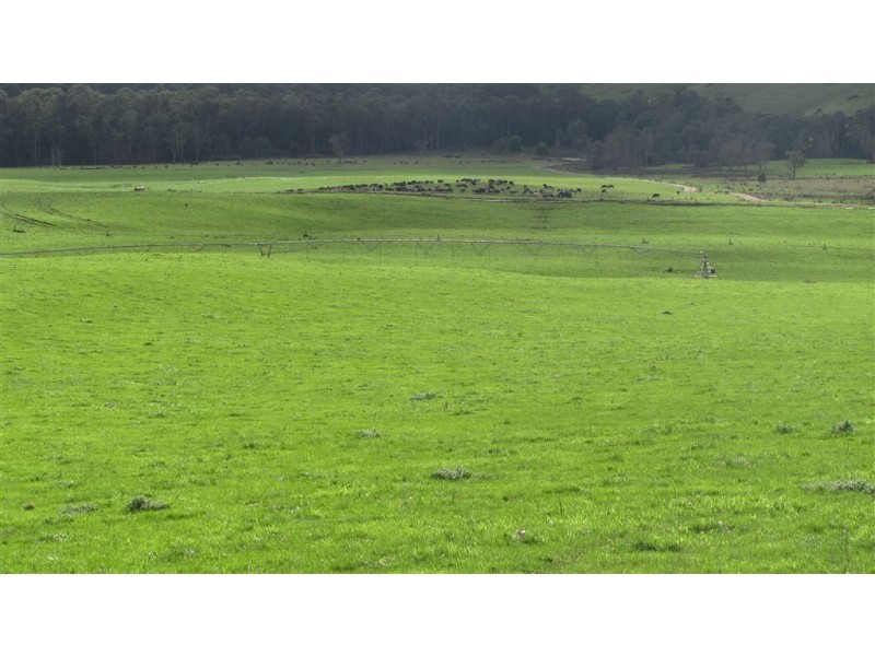 79 Wagners Road, Winnaleah TAS 7265