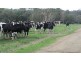 79 Wagners Road, Winnaleah TAS 7265
