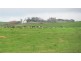 79 Wagners Road, Winnaleah TAS 7265